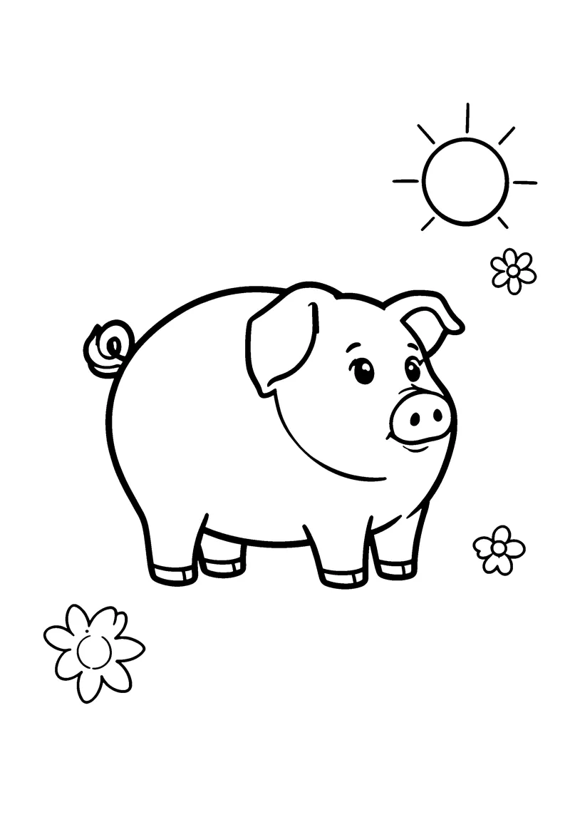 Pig coloring page preview