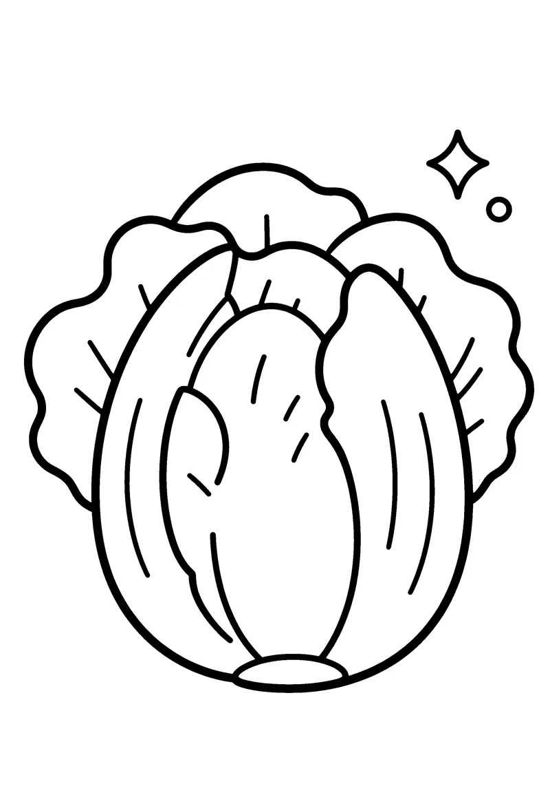 Lettuce coloring page preview